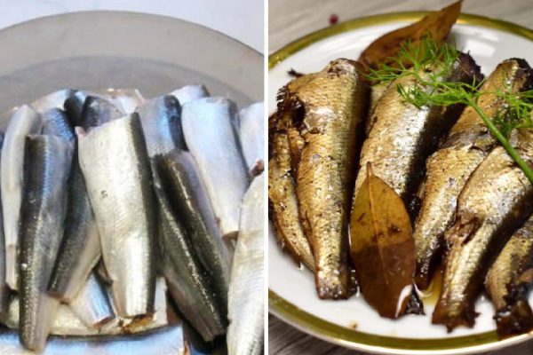 Домашние натуральные шпроты вкуснее магазинных по рецепту из телевизора