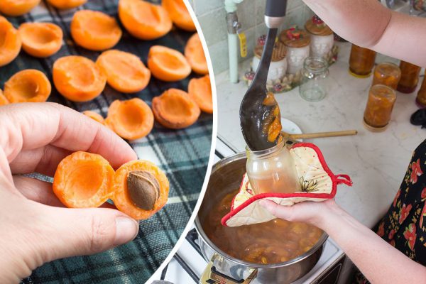 Подмога молодым, неопытным хозяйкам: как варить абрикосовый джем, чтобы сохранить вкус и цвет свежих абрикосов