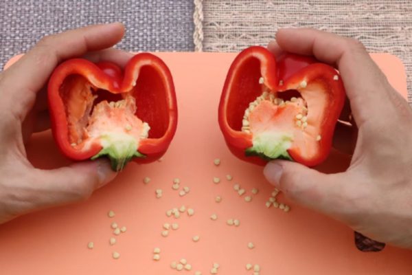 Что нужно, чтобы вырастить отменный перец будто из магазина