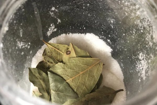 Для чего класть лаврушку в мешки с мукой и сахаром, а также в домашние вазоны