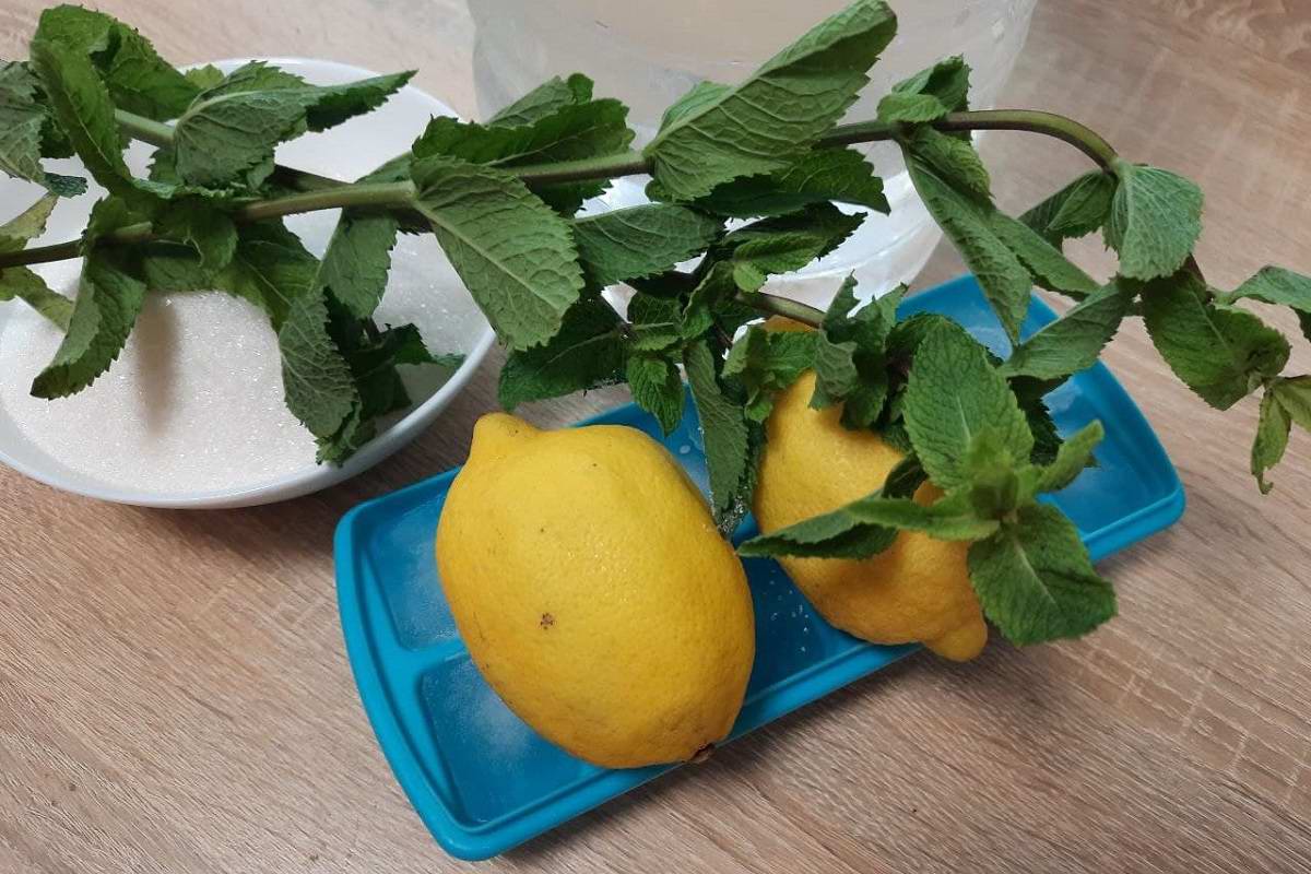 домашний лимонад с мятой и лимоном