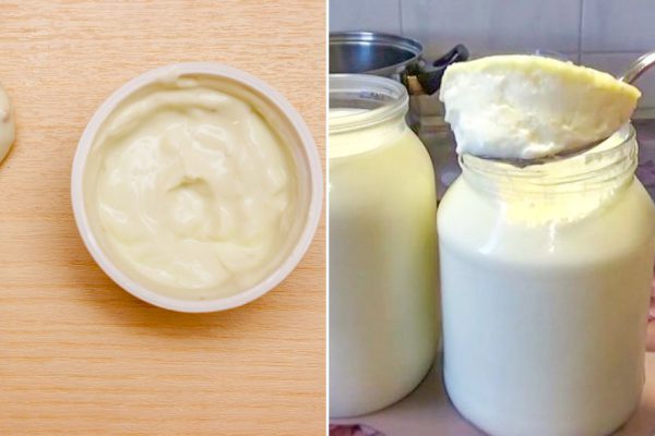 Грузинская хозяйка ответит сходу, чем настоящий мацони отличается от домашней сметаны