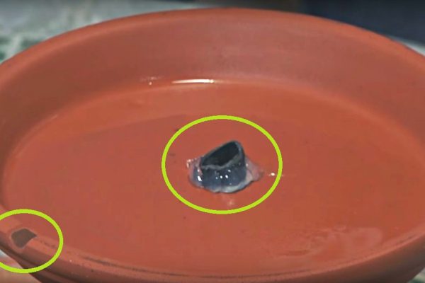 Она купила 2 глиняных горшка и 6 подставок, чтобы сделать дома райский уголок!