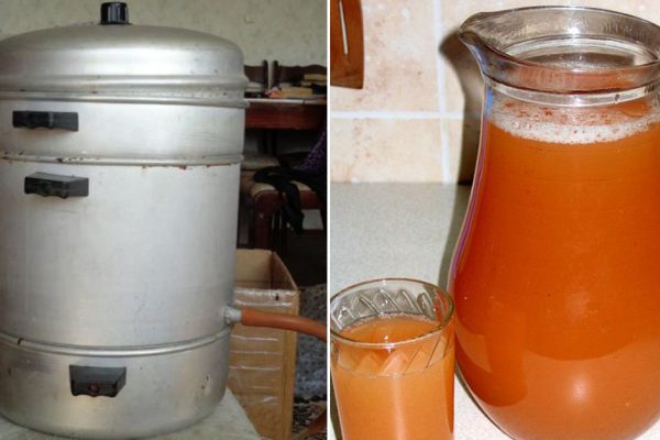 Зачем одалживать у соседки соковарку на выходные