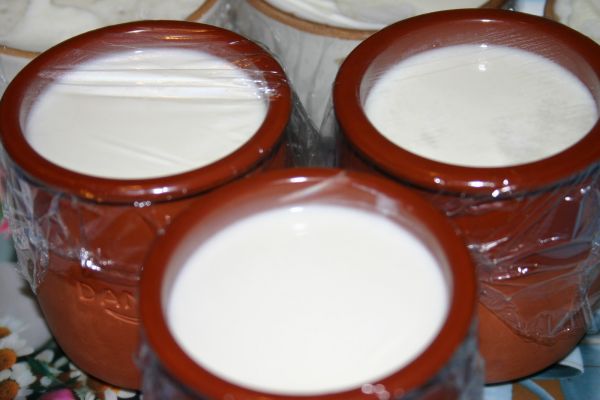 domáce jogurt