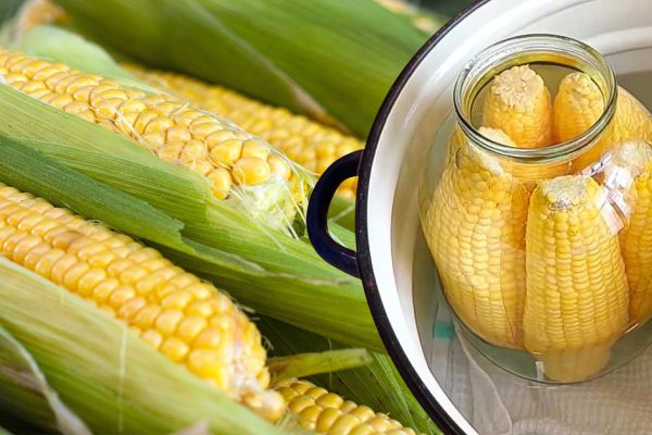 Замораживаю и закрываю в банки кукурузу, получается сладкая и молочная, будто свежая