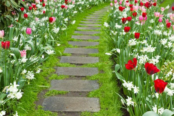 Stone walk way winding in a garden