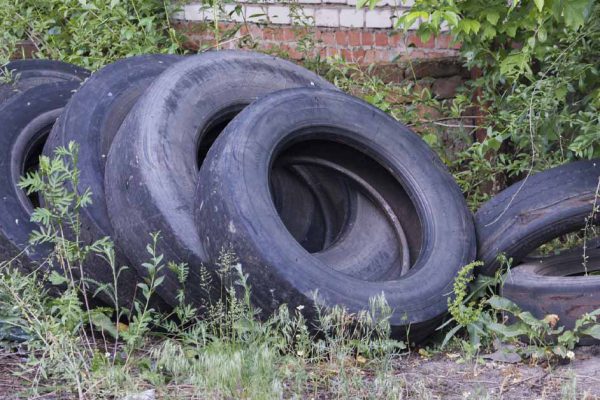 Огородные дорожки из старых автомобильных шин