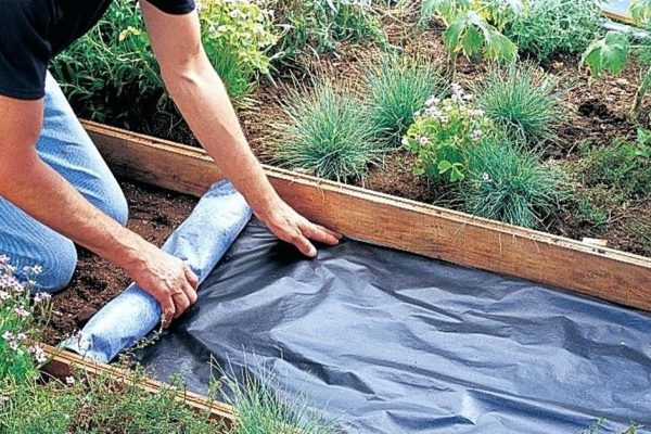 Как сделать садовую дорожку самостоятельно