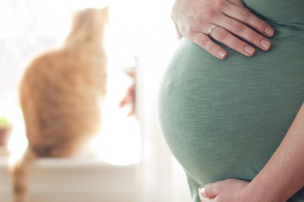 Муж выставил беременную жену за порог, обвинив в измене, и только через 5 лет узнал правду