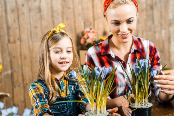 Как применять дрожжи в комнатном цветоводстве и зачем они нужны растениям