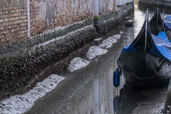 Учитель истории рассказал, как средневековые зодчие возвели древние дворцы Венеции