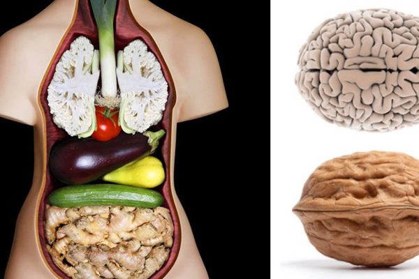 Эти 9 видов пищи целенаправленно действуют на органы, с которыми имеют сходство!