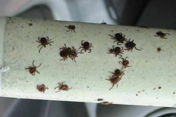 Рекомендации для комфортного отдыха на природе