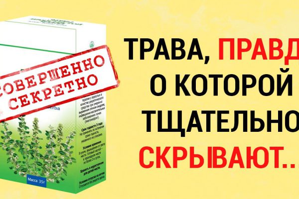 Чудо-трава, или хирург без скальпеля. Снимает воспаления, заживляет раны, растворяет камни в почках, и не только…