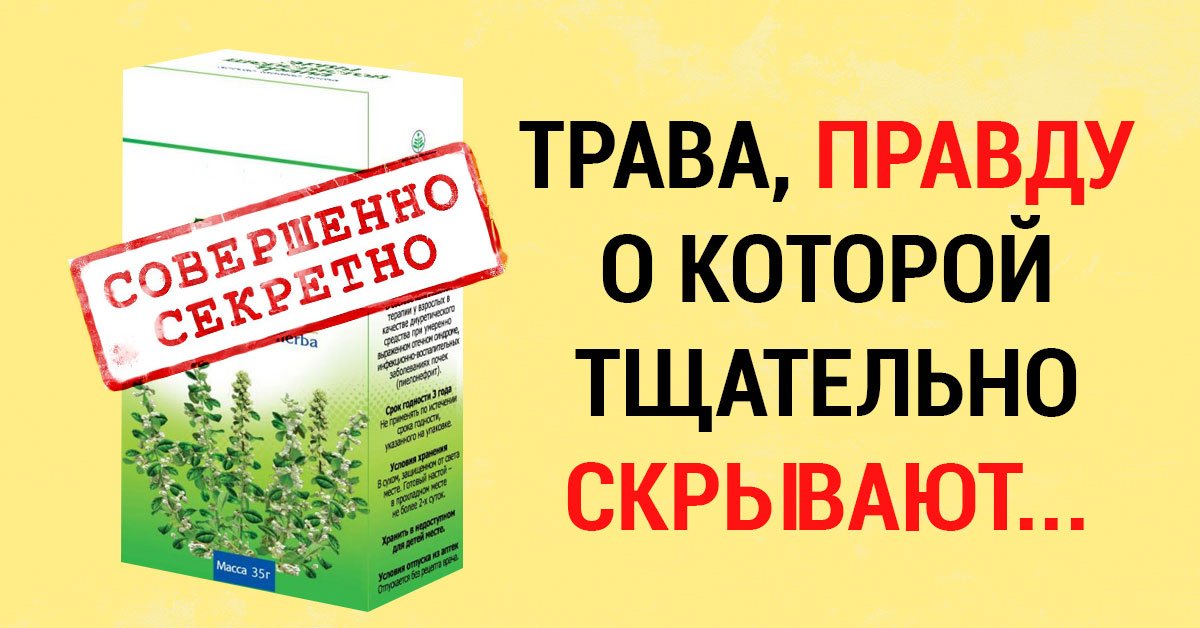 Что за чудо травка как с картинки