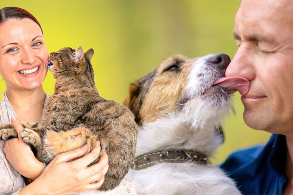 Кошка повадилась лизать супруга в щёки, спросила у ветеринара, зачем животное так себя ведет