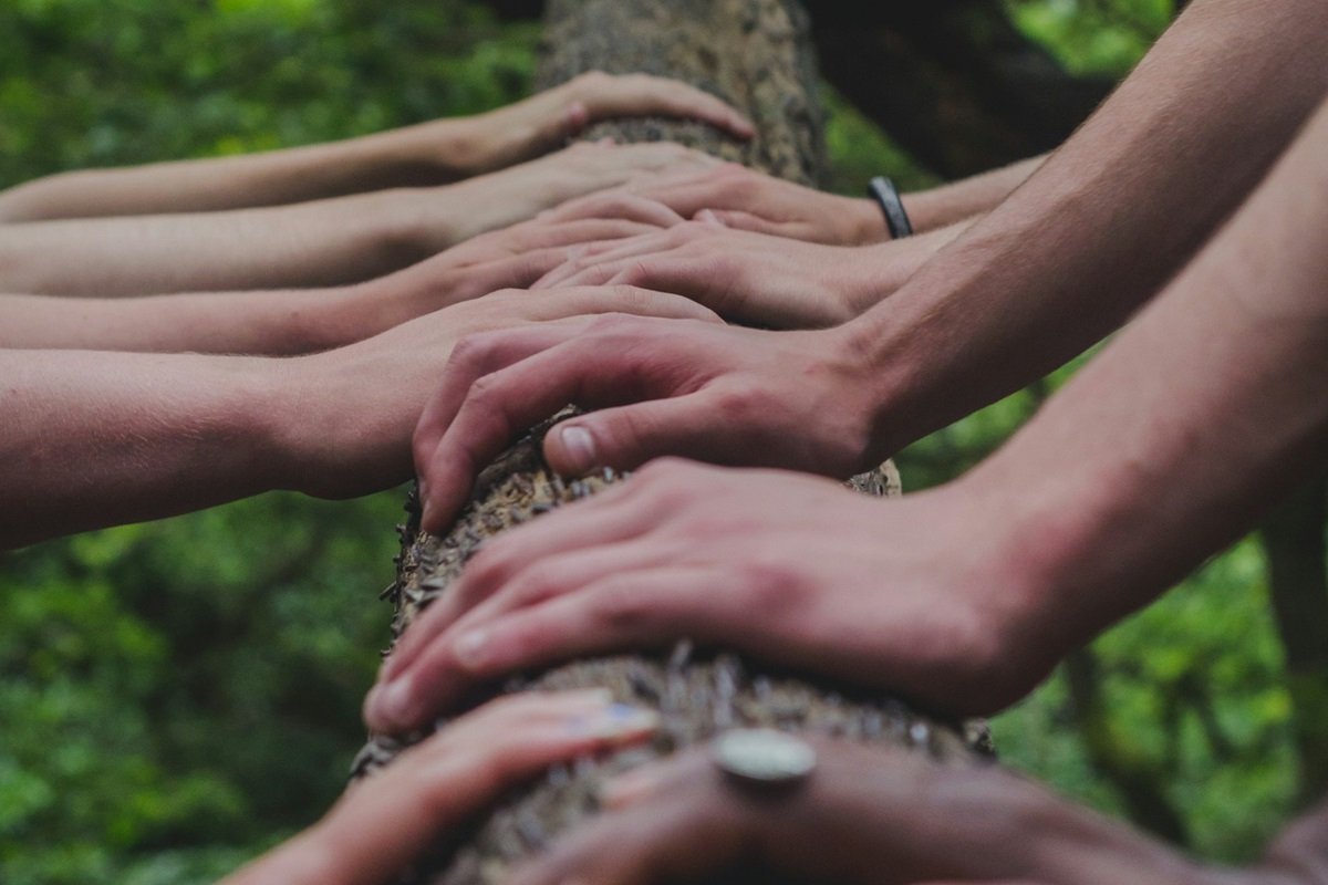 необычные фильмы