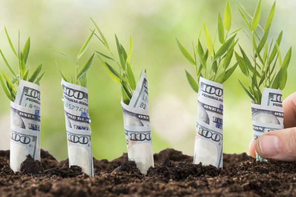 Что нужно выбросить из дома, чтобы привлечь в него деньги и благополучие