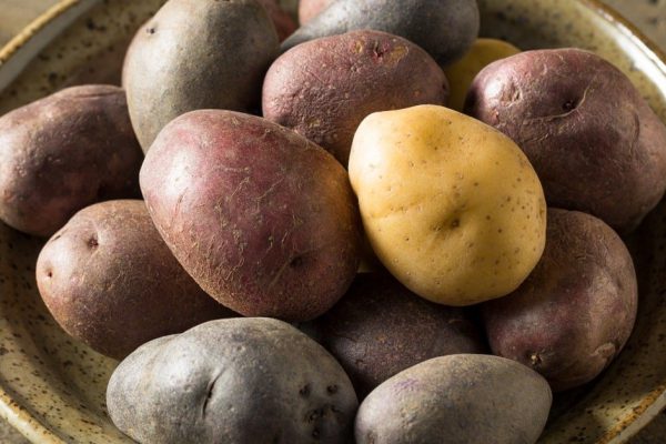 Из фиолетового картофеля «солоха» надумал сварить пюре, демонстрирую, что получилось