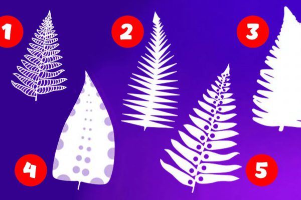 Лист папоротника укажет, где спрятано твое счастье