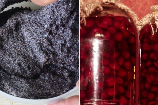 Рецепт торта с вишней и шоколадом