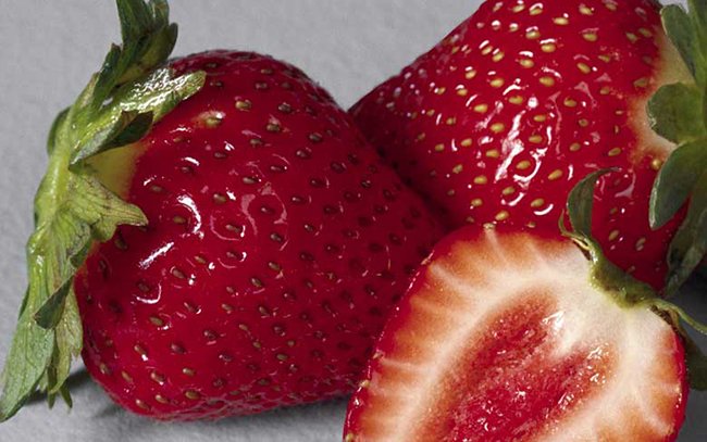 Какую ягоду можно выращивать в домашних условиях