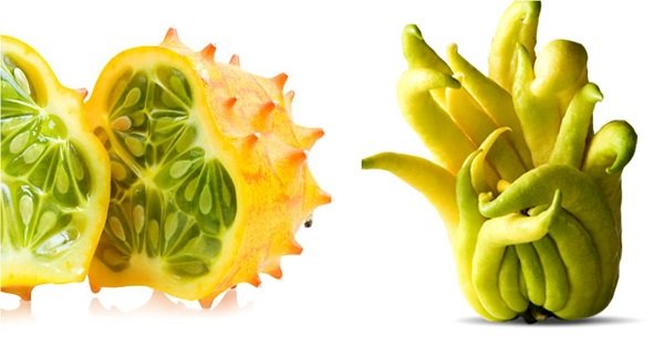 10 экзотических фруктов, которые ты вряд ли пробовал. Ради них стоит посетить южные страны!