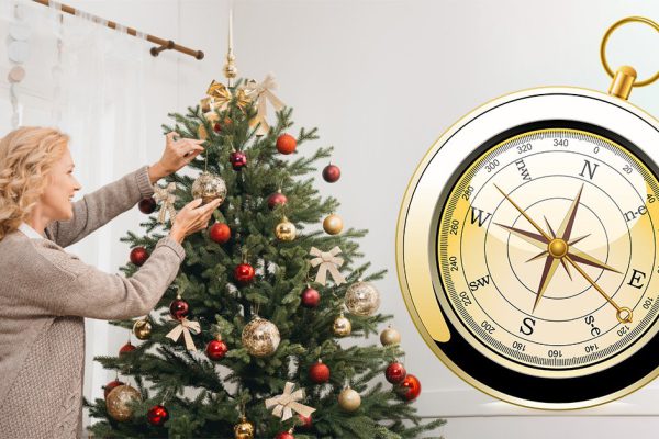 Куда поставить елку в этом году, чтобы требовательный Тигр был доволен и наградил тебя удачей