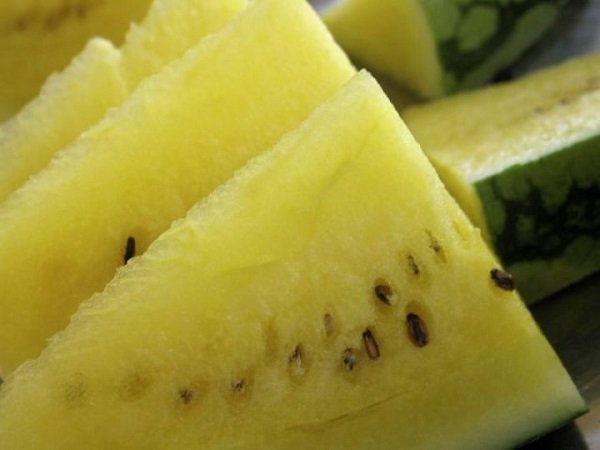 лунный арбуз