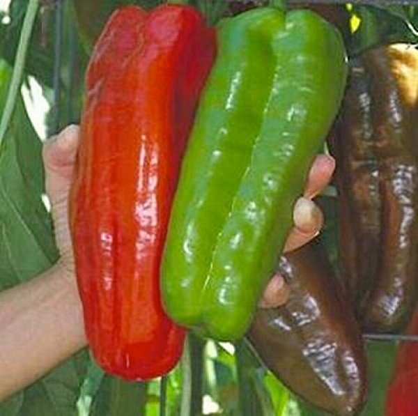 увесистые перцы