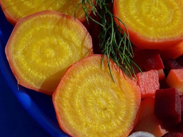 золотая свекла