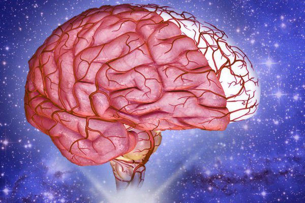 Устали от шума в голове, от пронзительного звона в ушах? «Включить» мозг и укрепить больные сосуды помогут…