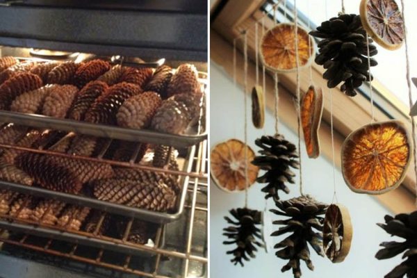 Черный Водяной Тигр любит играть, как котик, украшаю квартиру к праздникам