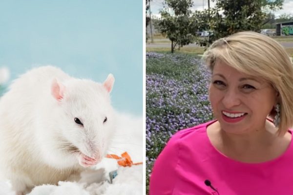 Почему Анжела Перл делится позитивом