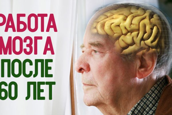 Мозг начинает работать в полную силу в возрасте 60–80 лет! Со временем в головном мозге…