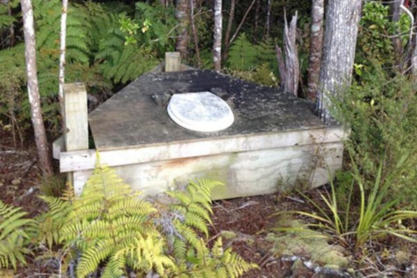 С детства мечтал переехать в Новую Зеландию, прочитав «Детей капитана Гранта»