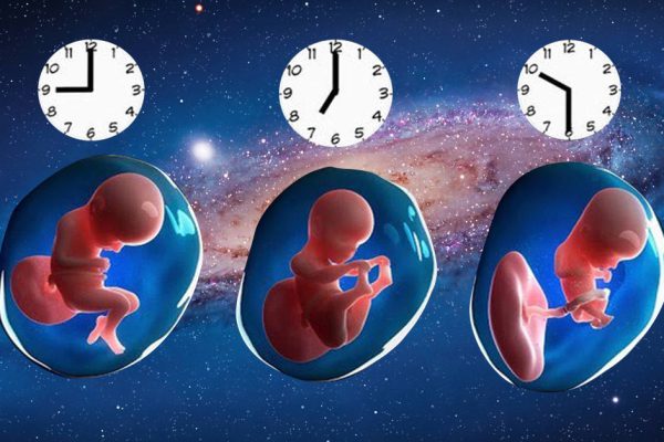 Судьба человека формируется в ту же секунду, в момент рождения! Определи, «крестником» какой из планет…