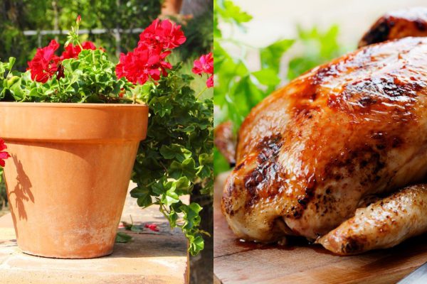 Как сделать гриль из цветочного горшка