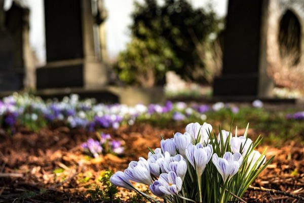 Может ли маленький ребенок чувствовать присутствие того, кто улетел на небо