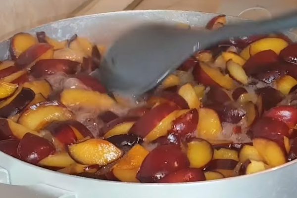 Цыганка варит сливовый конфитюр по-киевски, ведро слив дождалось своего часа