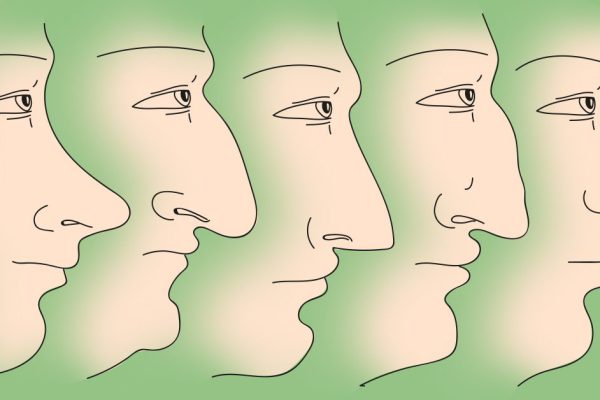 Вот что форма носа может поведать о твоем характере!