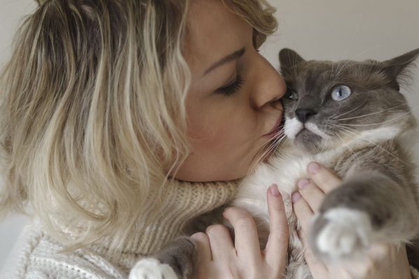 Кто из знаков зодиака больше всего любит кошек, а кто совершенно равнодушен к пушистикам