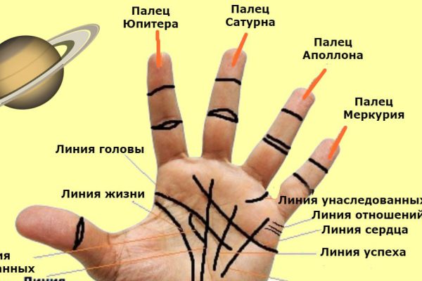 Что нужно знать о хиромантии