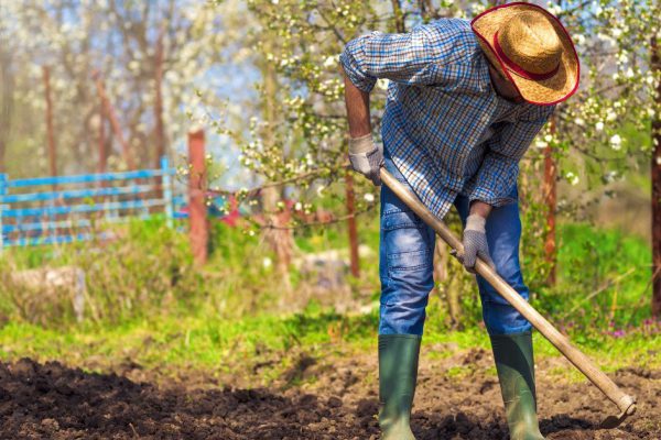 Когда дача может внести раздор в семью