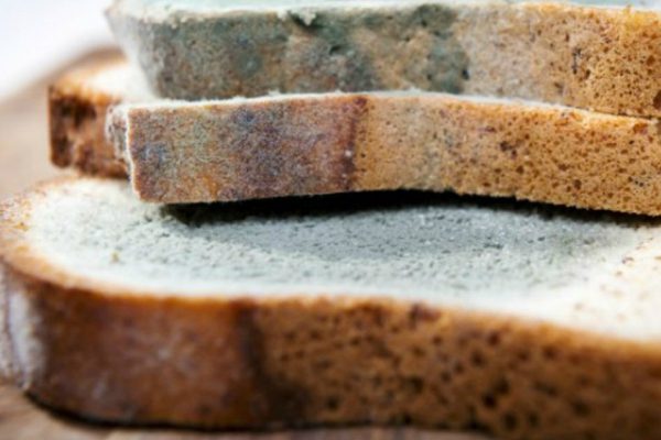 Вот почему обычный хлеб может стать серьезной угрозой твоему здоровью!