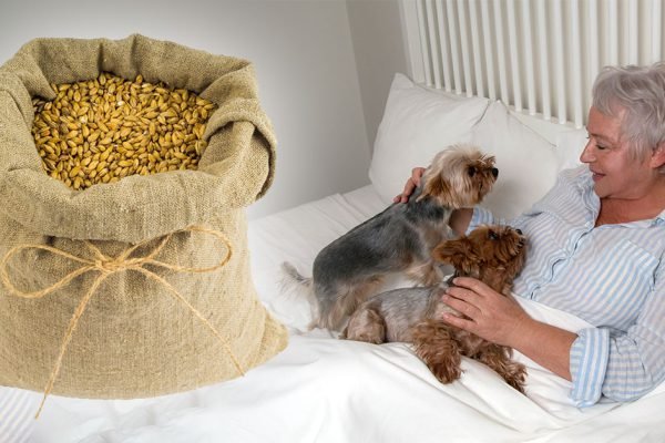 Какую крупу положить в постель, чтобы деньги прибывали, а долги таяли