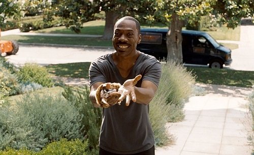 тысяча слов