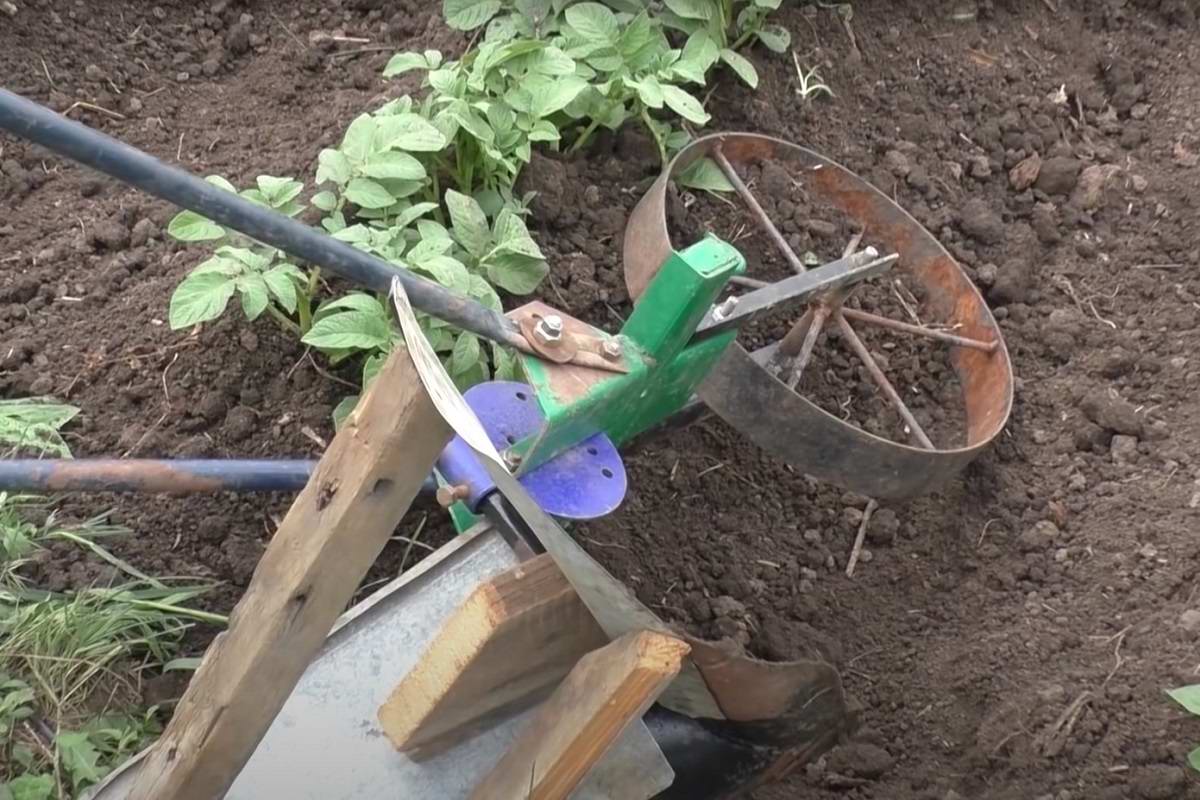 как получить хороший урожай картофеля на даче