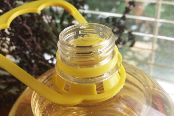 Где лучше хранить растительное масло: в шкафчике, на столе или в холодильнике